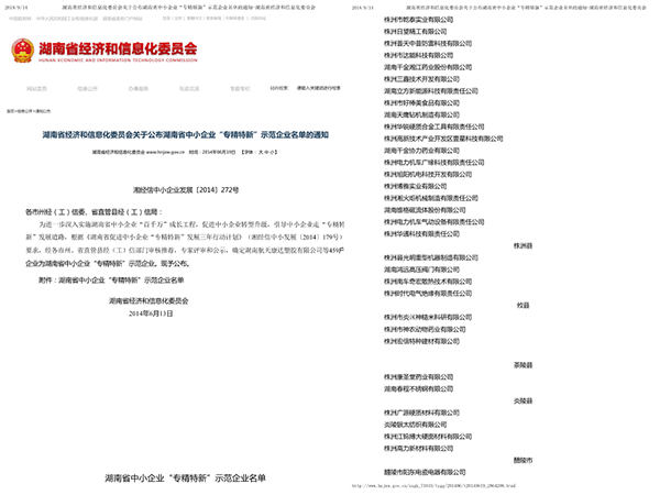 湖南省中小企業(yè)“專精特新”示范企業(yè)