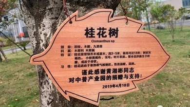 “種”希望！綠化中普，共建美麗家園